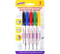 Стираемые маркеры для белой доски ЮНЛАНДИЯ COLORWAY НАБОР 5 ЦВЕТОВ 3 мм 152099
