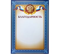 Благодарность ООО Комус А4 тиснение, конгрев 230 г, 10 шт в упаковке 741898