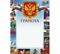 Грамота ООО Комус 44/СГ герб, триколор, виды спорта, 230 г/кв.м 267198