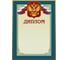 Диплом ООО Комус 46/Д голубая рамка, герб, триколор, 230 г/кв.м, 10 шт в упаковке 267197 1