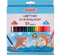 Цветные карандаши ПИФАГОР Веселые акулята, 24 цвета, классические, заточенные 181818