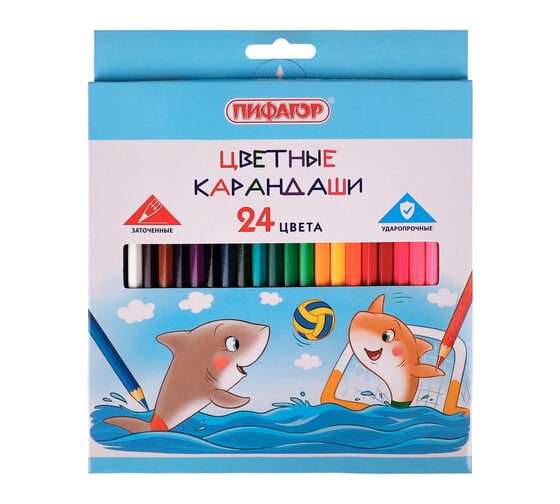 Цветные карандаши ПИФАГОР Веселые акулята, 24 цвета, классические, заточенные 181818 1