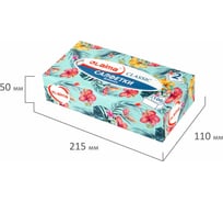 Косметические салфетки LAIMA Everyday 100 штук в картонном боксе двуслойные, 20x20 см 113588
