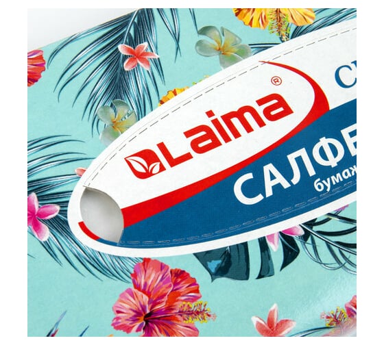 Косметические салфетки LAIMA Everyday 100 штук в картонном боксе двуслойные, 20x20 см 113588