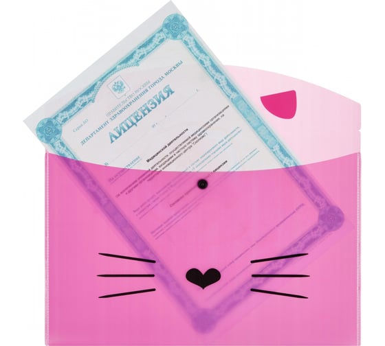 Папка-конверт №1 School Kitty на кнопке А4 180 мкм 2 шт в упаковке 1408787