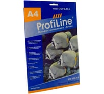 Матовая фотобумага ProfiLine 110 г/м2, А4, 50 листов, 5760 dpi PL_MP_110_A4_50