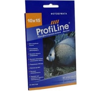 Глянцевая фотобумага ProfiLine 210 г/м2, 10x15 см, 25 листов, 2880 dpi PL_GP_210_10x15_25