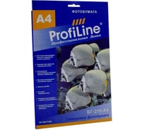 Глянцевая фотобумага ProfiLine 210 г/м2, А4, 50 листов, 2880 dpi PL_GP_210_A4_50