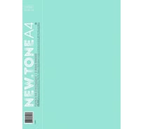 Пластиковая папка на 2-х кольцах Hatber Premium А4, корешок 25 мм, 700мкм 20 шт 061959