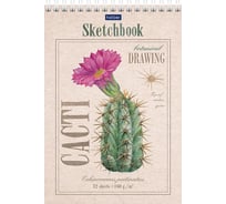 Блокнот Hatber Premium SketchBook 32л, А5, 160г/кв.м, без линовки 6 шт 66877