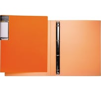 Пластиковая папка Hatber HD на 4-х кольцах, А4, корешок 25 мм DIAMOND N 20 шт 035331