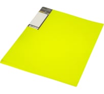 Пластиковая папка Hatber HD на 2-х кольцах, А4, корешок 25 мм DIAMOND N 20 шт 036473