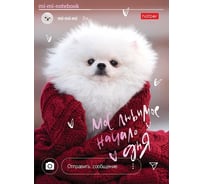 Бизнес-блокнот Hatber 160л, А6, клетка, тв.переплет Моё любимое начало 20 шт 060756