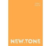 Папка для документов Hatber Premium А4, на 4, х кольцах, глянц. ламинация 12 шт 062017