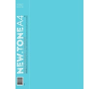 Пластиковая папка на 2-х кольцах Hatber Premium А4, корешок 40 мм, 700мкм 12 шт 061965