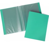 Пластиковая папка Hatber 60 вкладышей, А4, корешок 21 мм LINE 500мкм 037136