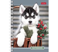 Записная книжка Hatber 140л, А6, клетка, на гребне, серия Любимцы 6 шт 006917