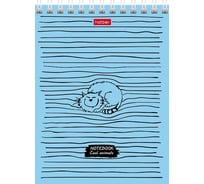 Блокнот Hatber 40л, А6, 65г/кв.м, клетка, обложка мелованный картон, УФ-лак 6 шт 055480