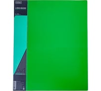 Пластиковая папка Hatber на 2-х кольцах, А4, корешок 25 мм STANDARD 70 20 шт 038475