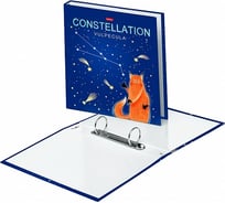 Папка Hatber А5, на 2-х кольцах мат.ламин. 3D фольга , Приходи считать, 12 шт 070899