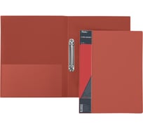 Пластиковая папка Hatber на 2-х кольцах, А4, корешок 25 мм STANDARD 70 20 шт 038477