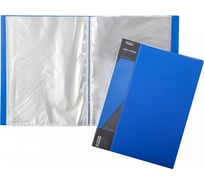 Пластиковая папка Hatber 100 вкладышей, А4, корешок 40 мм STANDARD 800 18 шт 039805