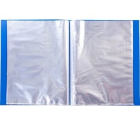 Пластиковая папка Hatber 60 вкладышей, А4, корешок 21 мм LINE 500мкм 037134