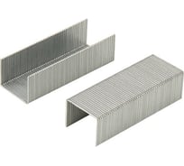 Оцинкованные скобы для степлера DELI 23/10 E0015 картонная коробка, 500 шт, 10 упак 382035