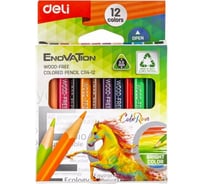Цветные карандаши DELI Enovation EC114-12 трехгранные пластик 12 цветов коробка/европодвес, 24 упак 1504245