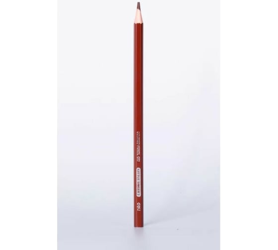 Цветные карандаши DELI Little Singer EC117-12 тополь 12 цветов картонная коробка, 12 упак 1640143