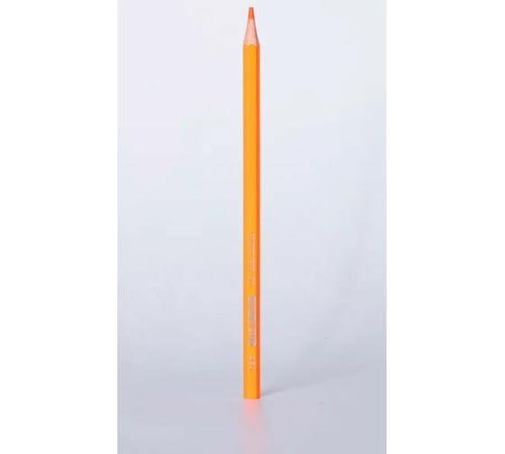 Цветные карандаши DELI Little Singer EC117-12 тополь 12 цветов картонная коробка, 12 упак 1640143