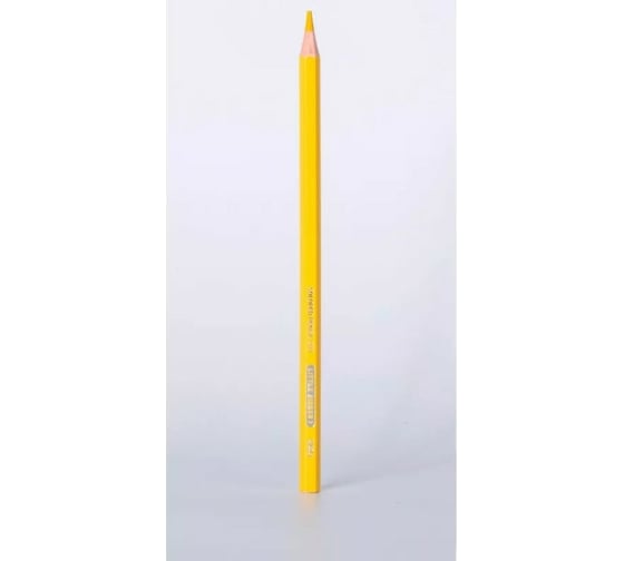 Цветные карандаши DELI Little Singer EC117-12 тополь 12 цветов картонная коробка, 12 упак 1640143