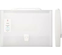Папка-портфель DELI 5880 на кнопке 13 отделений A4 полипропилен ассорти, 12 шт 1482631