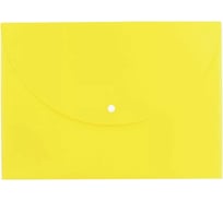 Конверт на кнопке DELI E38131 A4 горизонтальное расширение полипропилен 0.18 мм ассорти, 10 шт 461221