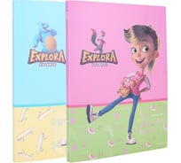 Папка DELI Explora EZ55302 с 20 прозрачными вкладышами A4 полипропилен ассорти, 12 шт 1112882