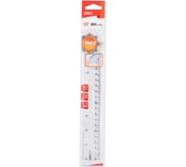 Линейка DELI Pioneer EG00212 пластик длина 20 см прозрачный, градуировка УФ чернила, 30 шт 475558