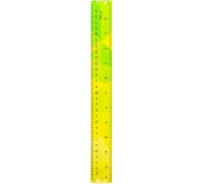 Линейка DELI EH651 пластик длина 30 см ассорти гибкая/двусторонняя шкала, 24 шт 1394434