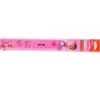 Линейка DELI Explora EG01302 пластик длина 20 см ассорти пластиковый пакет с европодвесом, 30 шт 1112383