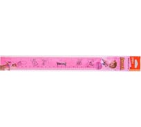 Линейка DELI Explora EG01402 пластик длина 30 см ассорти пластиковый пакет с европодвесом 1112386