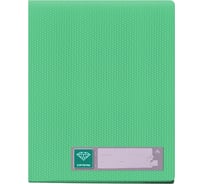 Папка БЮРОКРАТ Crystal CR30GRN с 30 прозрачными вкладками, A4, пластик, 0.5 мм, зеленый, 30 шт 816984