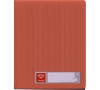 Папка БЮРОКРАТ Crystal CR40RED с 40 прозрачными вкладками, A4, пластик, 0.5 мм, красный, 25 шт 816992