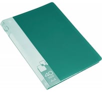 Папка БЮРОКРАТ BPV40GRN с 40 прозрачными вкладками, A4, пластик, 0.65 мм, торцевой карман с бумажной вставкой, зеленый, 25 шт 816946
