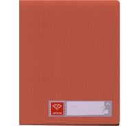 Папка БЮРОКРАТ Crystal CR30RED с 30 прозрачными вкладками, A4 пластик, 0.5 мм, красный, 30 шт 816986