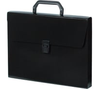 Портфель БЮРОКРАТ DeLuxe DLPP01BLCK 1 отделение, A4, пластик 0.7 мм, черный, 14 шт 1135778