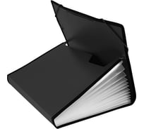 Портфель БЮРОКРАТ BPR13LBLCK 13 отделений, A4, с окантовкой, пластик 0.7 мм, черный, 18 шт 876100