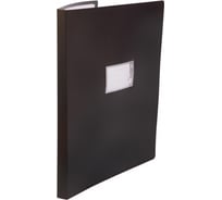 Папка БЮРОКРАТ с 20 прозрачными вкладками, A3, пластик, 0.8 мм, черный, 18 шт 816928