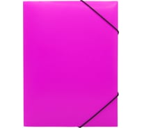 Папка БЮРОКРАТ Double Neon на резинке, A4, пластик, корешок 30 мм, 0.5 мм, розовый/черный 1481562