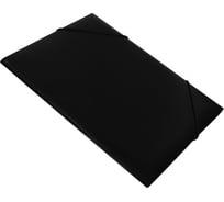 Папка БЮРОКРАТ PR05BLCK на резинке, A4, пластик, корешок 30 мм, 0.5 мм, черный 816778