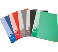 Папка БЮРОКРАТ PZ07P с металлическим пружинным скоросшивателем, A4, пластик 0.7 мм, внутренний и торцевой карман, ассорти 816865