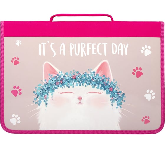 Папка для труда BRAUBERG Purfect Day А4, с ручкой, 1 отделение, органайзер, молния вокруг 270342